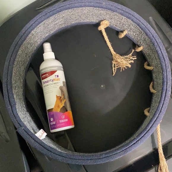 smartykat scratch not spray